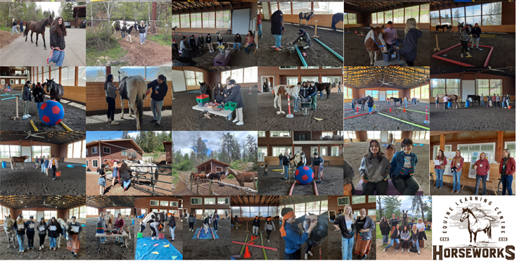 Horseworks Leadership Collage